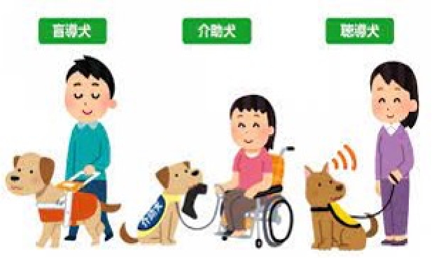 受入れ可能な身体障害者補助犬の種類